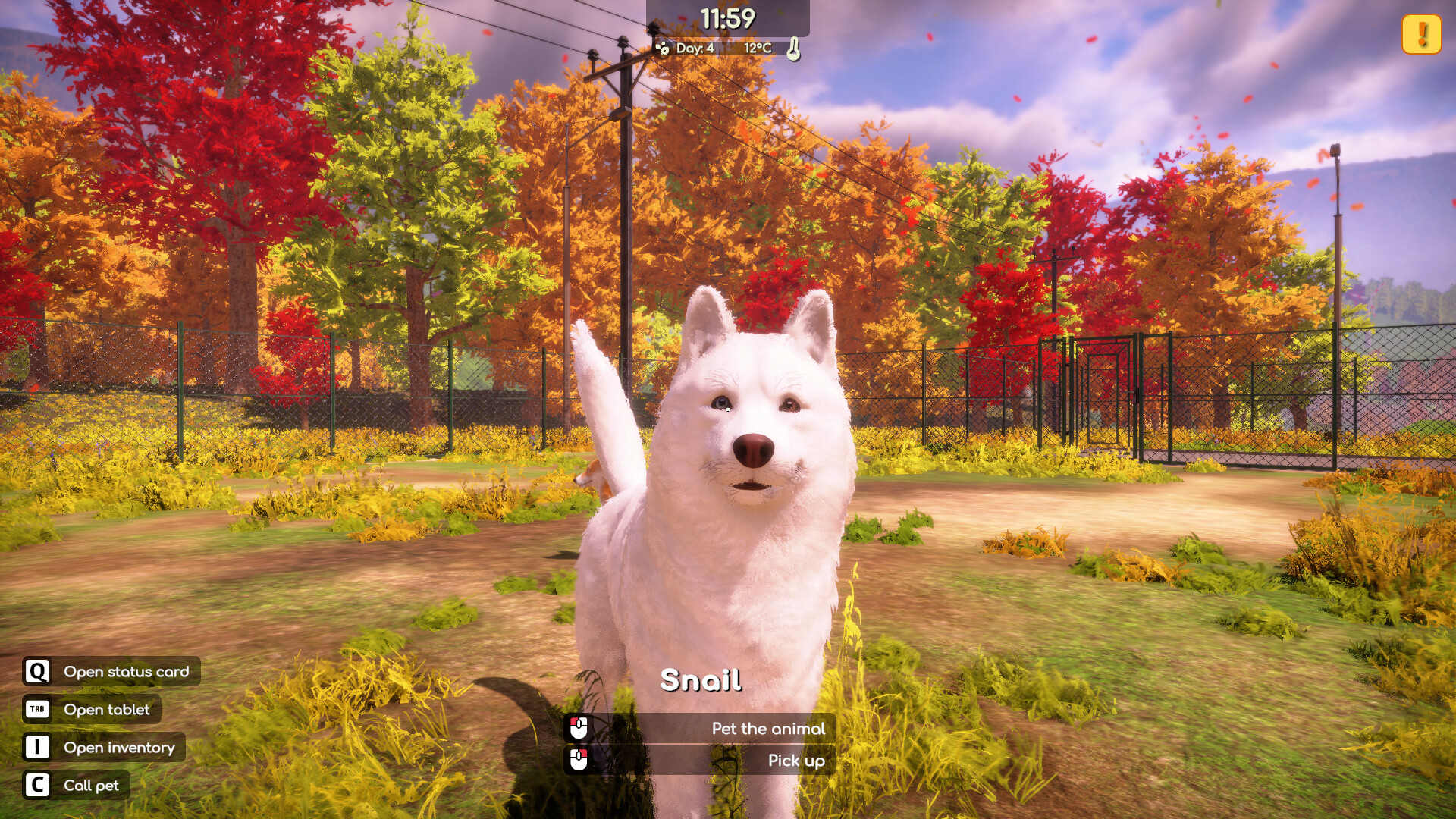 Animal Shelter 2 gameplay screenshot 2