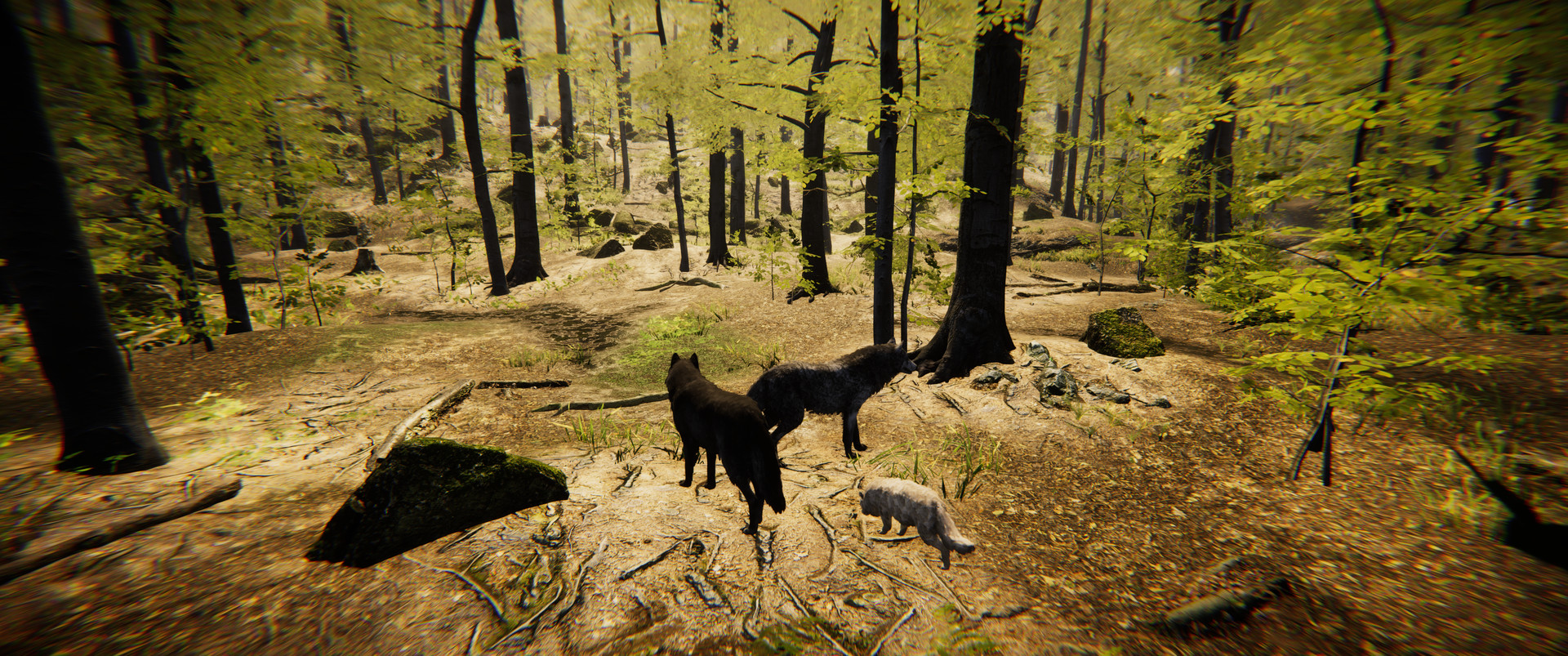 Animal Simulator gameplay screenshot 1
