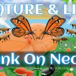 Nature & Life – Drunk On Nectar v1.0.6 – Repack