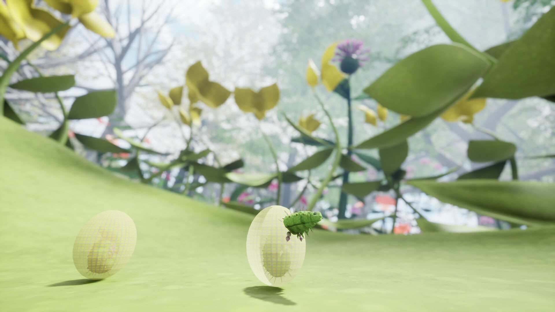 Nature & Life - Drunk On Nectar gameplay screenshot 1