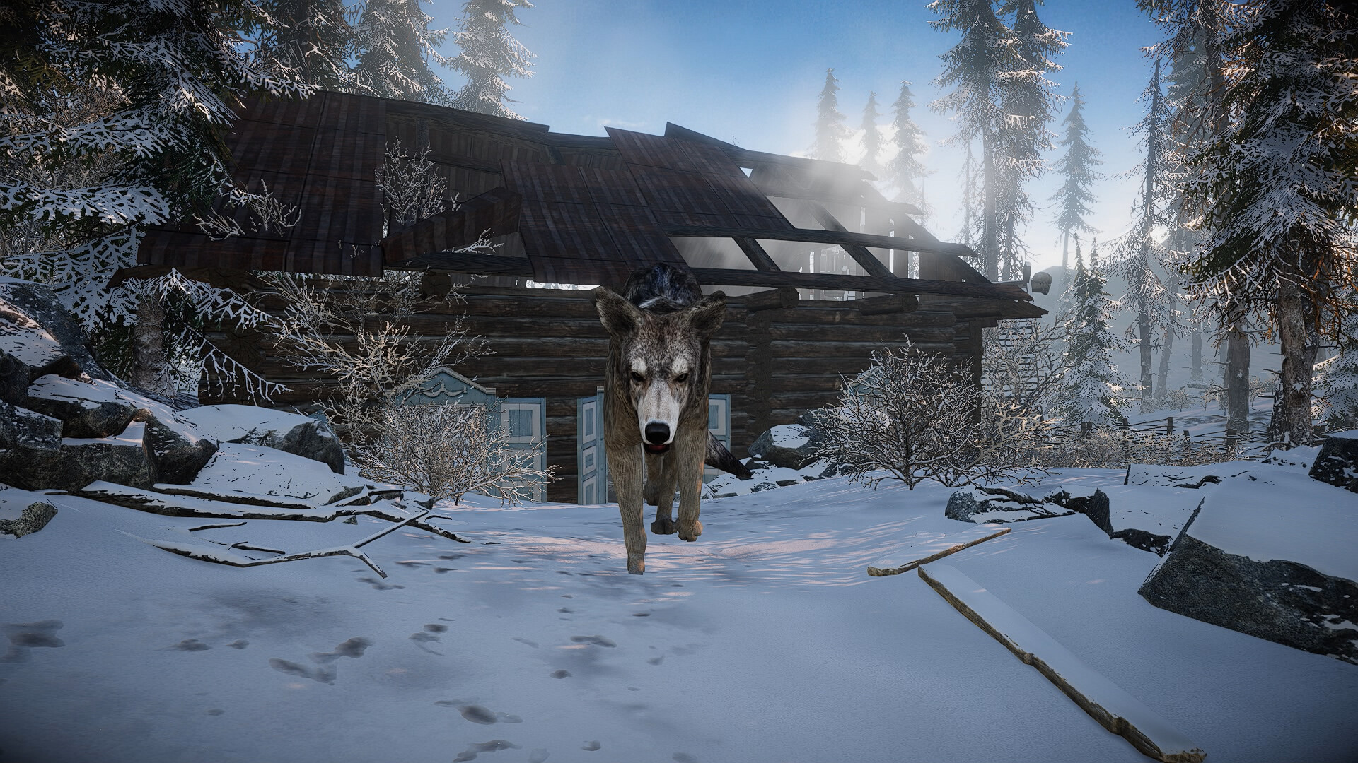 Short Snow | Cold Survival Game gameplay screenshot 1