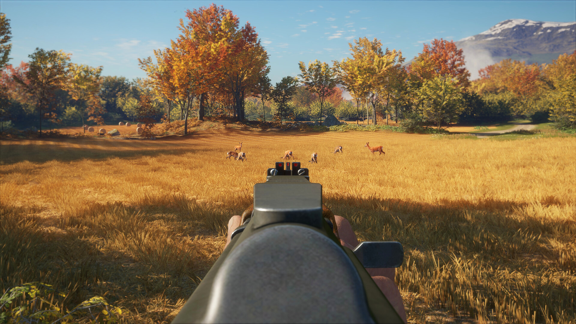 theHunter: Call of the Wild™ - Rapid Hunt Rifle Pack gameplay screenshot 2