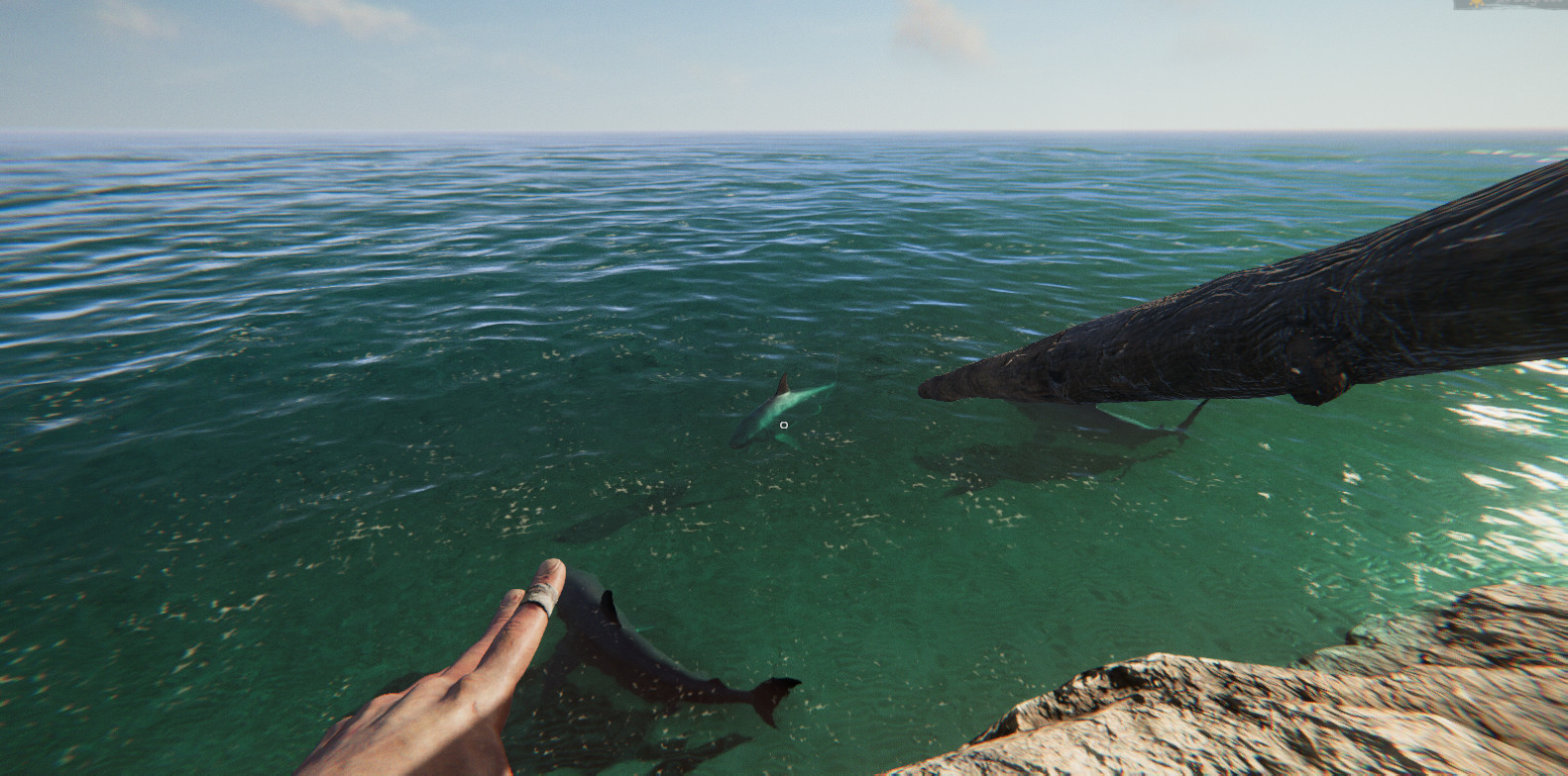 Project Castaway gameplay screenshot 2